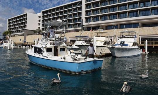 31' Bertram - Halcon Sport Fisherman Fishing Charter in Cabo San Lucas, Mexico