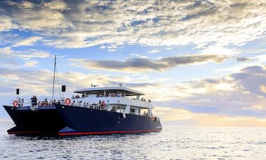 Increíbles recorridos en Cabo San Lucas en un gran catamarán de lujo