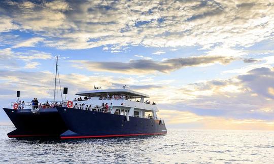 Excursions incroyables à Cabo San Lucas sur un grand catamaran de luxe