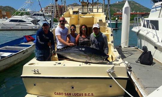 Alquiler de barco de pesca Edith de 28 pies para 4 personas en Cabo San Lucas, México