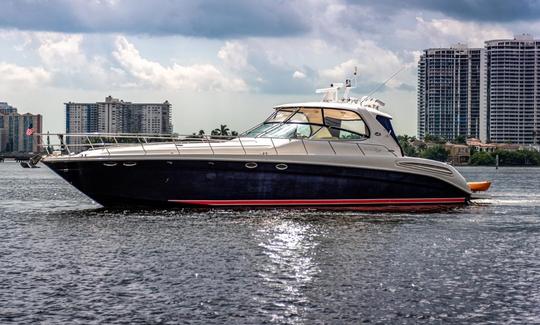 Searay Sundancer 60¨ en North Miami Beach, Florida