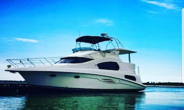 Alquiler de yate a motor Silverton Hi Performance de 44 pies en Destin, Florida