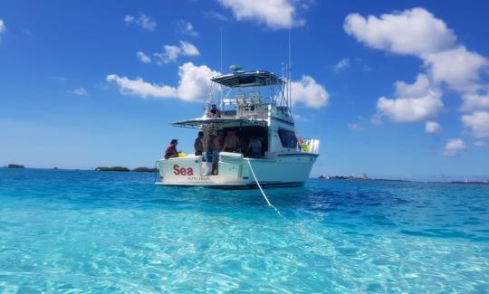 Alugue o Hattras Motor Yacht de 42 pés em Oranjestad, Aruba