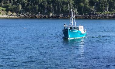 Excursions panoramiques sur le homard dans la baie de Fundy - un bateau d'excursion sur le homard de 43 pieds à Digby, au Canada