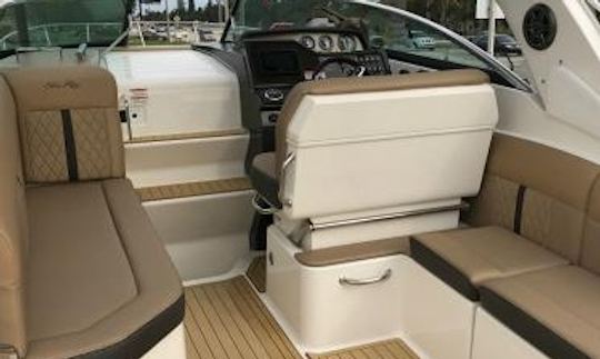 Take Your Time On My Sea Ray Sundancer 260 Cabin Cruiser