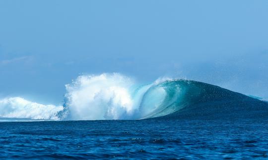 Nossa carta de surf “Jiwa Alam” está ancorada e adoraríamos levá-lo em nossa próxima viagem de aventura de surf