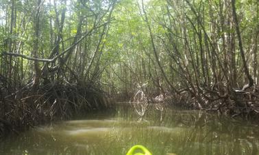 Caiaques/pranchas de remo para mar, mangue e rios em Ban Nam Kem, área de Bang Lut