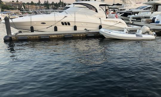 Capitaine Charter à bord de l'élégant Sea Ray Hardtop Sundancer de 50 pieds sur le lac Washington