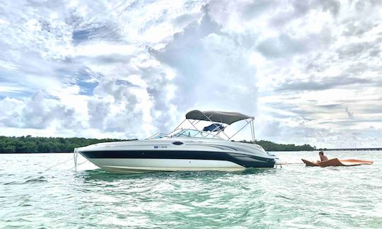 Experience the 26' Sea Ray in Miami!