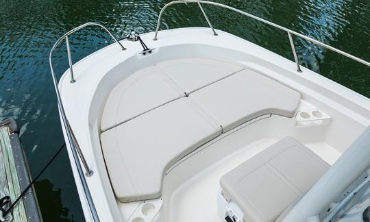 Alugue o Boston Whaler de 19 pés em Jolly Harbour