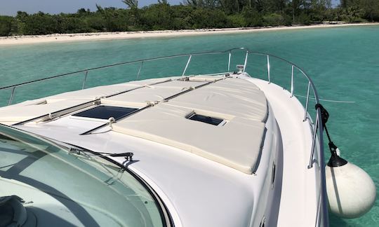 Yacht à moteur Sea Ray Sundancer de 48 pieds (tout compris) à Tulum