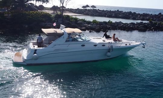 Yacht à moteur Sea Ray Sundancer de 48 pieds (tout compris) à Tulum