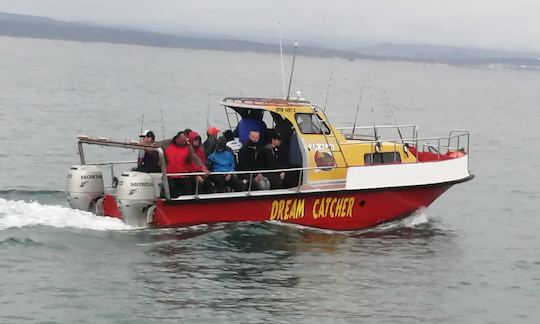 Melhor experiência de pesca em alto mar em Mossel Bay.