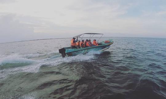 Observação de baleias em Kalpitiya - Passeio de barco