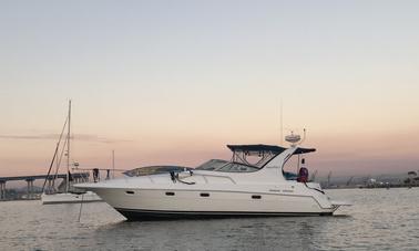 Gorgeous 40' Express Cruiser Yacht w/ Professional Captain