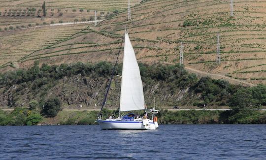 ¡Velero Moody33 MKII para una aventura de 4 horas!