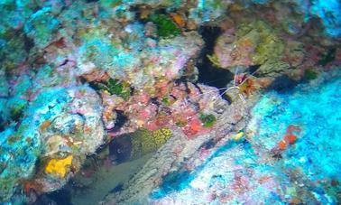 Diving in Lanzarote