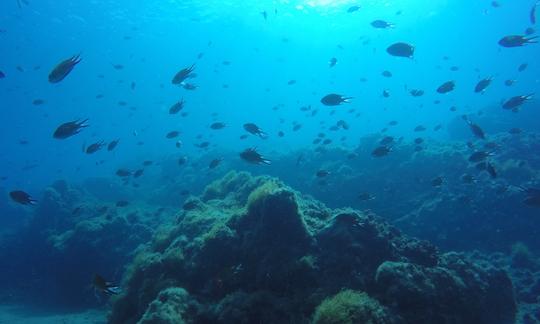 Mergulho em Lanzarote