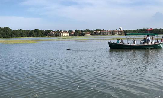 Dolphin Watching and Donuts Boating Experience in South Carolina