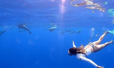 Safari con delfines