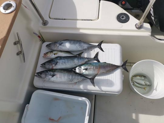 Viagem de pesca de 4 horas da equipe de pesca Vivaneau pela Baía de Burgas 