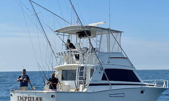 Charter 38' Bertram Motor Yacht In Manasquan, New Jersey