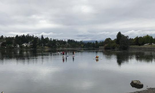 Location de kayak sur les magnifiques lacs de Victoria, en Colombie-Britannique