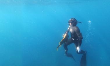 Spearfishing Trip in Bali with Friendly Local Guides