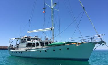 Sailing Cruiser NZ Custom de 70 pies