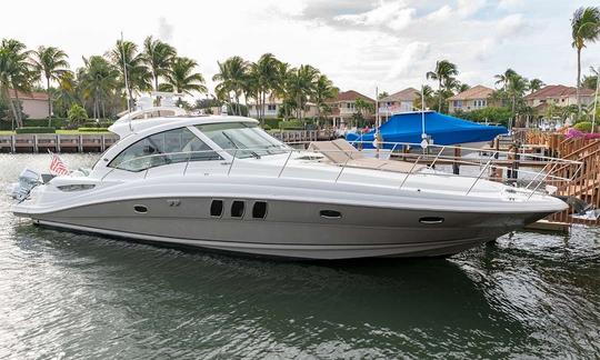 Luxury 52 Sea Ray Sunseeker Motor Yacht in West Palm Beach Florida