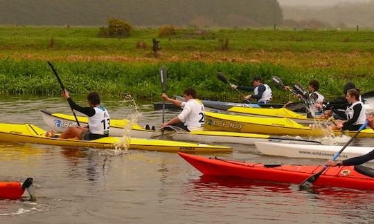 Kayak Hire in Foxton, Life Jacket and Paddle Provided