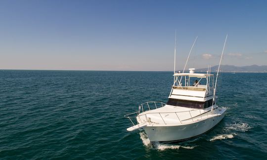 Viking Fishing 44' Boat in Nuevo Vallarta