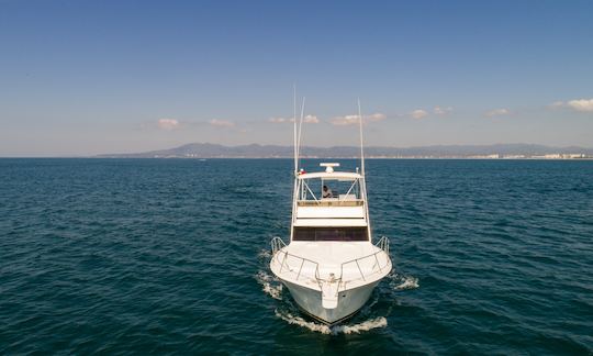 Viking Fishing 44' Boat in Nuevo Vallarta