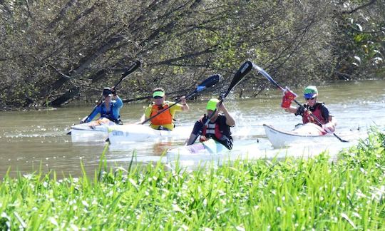 Kayak Hire in Foxton, Life Jacket and Paddle Provided