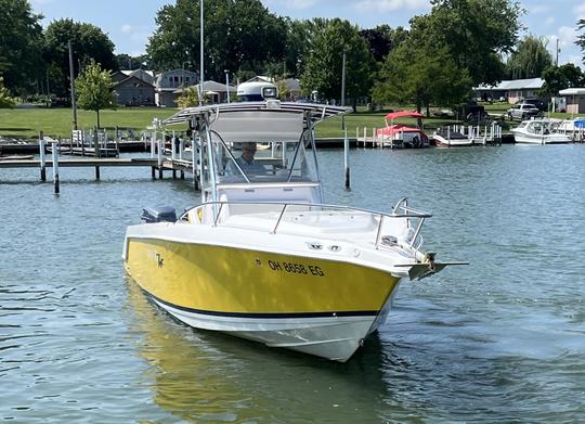 Console central de 35 pés para cruzeiros diurnos, pesca em grandes lagos e aventuras de fim de semana