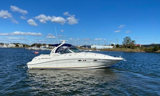 SeaRay サンダンサー 41 フィートパワースポーツヨットクルーズ（サグハーバー）