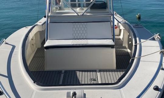 Barco a motor Ocean Master 33' para alugar em Los Melones