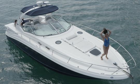 38ft Sea Ray Sundancer in Chicago, Burhnam Harbor (Up to 12 guests)