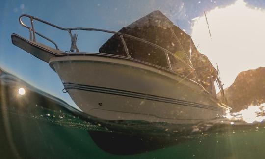 Le meilleur charter de pêche hauturière pour 6 personnes à Puerto Vallarta !