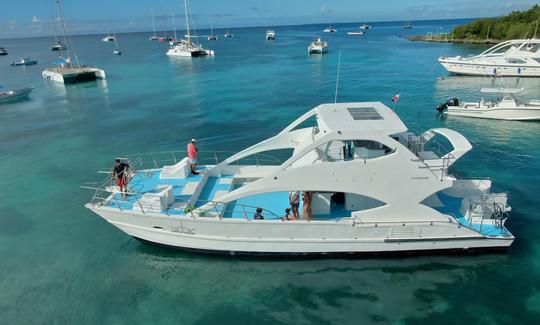 Saona island Private Powered Catamaran .