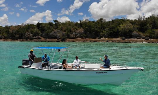 Private fast panga Saona island