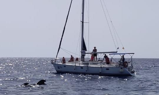 See the beauty of the south of Tenerife with  37' Jeanneau Sun Odyssey Sailboat!