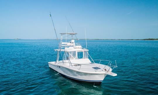 Carta de pesca em alto mar de 32 pés em Luhrs em Nassau