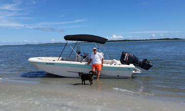 Caballos salvajes y excelentes bombardeos en Shackleford Banks y el faro de Cape Lookout