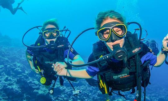 Descubra o mergulho para iniciantes em Dibba Al Fujairah