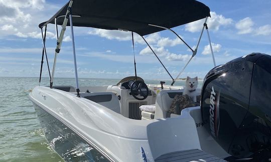 Bateau à pont Bayliner facile à conduire (10 % de réduction sur les offres spéciales de la semaine ! !)