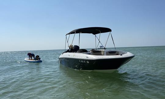 Bateau à pont Bayliner de 18 pieds pour 9 personnes à Clearwater et Tampa (10 % de réduction en semaine !)