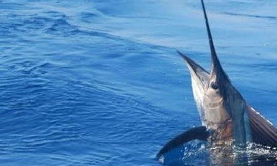 Charter de pesca en alta mar de día completo con el programa «Angler Management» en las Islas Turcas y Caicos