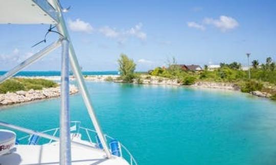 Charter de pesca en alta mar de día completo con el programa «Angler Management» en las Islas Turcas y Caicos