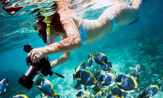 Tour de esnórquel en el hermoso Golfo de Papagayo